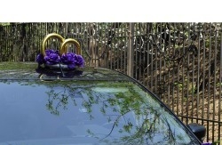 украшение на крышу машины с синими розами