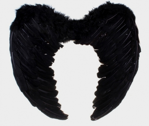 крылья черные из перьев