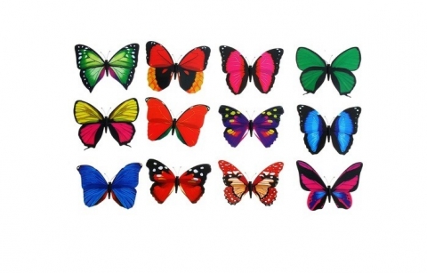украшение бабочки, бабочки на машину