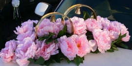 кольца с розовыми пионами на машину купить