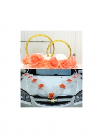 Комплект на ма машину персиковый  кольца, лента 300759