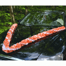 оранжевые ленты на машину фото