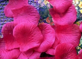 лепестки роз фуксия, лиловый