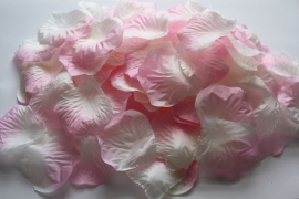 бело-розовые лепестки роз