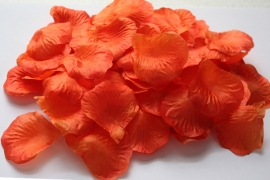 оранжевые лепестки