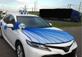 Синий комплект на свадебную машину 02651 Синий комплект на свадебную машину 02651
