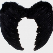 крылья черные из перьев
