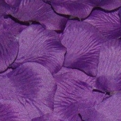 фиолетовые лепестки роз купить