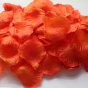 оранжевые лепестки