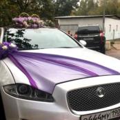 ярко-фиолетовый комплект на свадебную машину