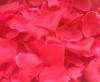 Лепестки роз малиновые 100 шт. 000811